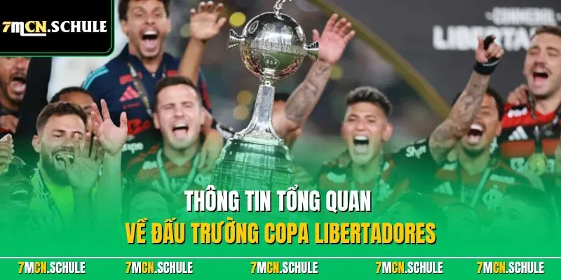 Cúp Libertadores - Khám phá thông tin chính xác về giải đấu 6 Thông tin tổng quan về đấu trường Copa Libertadores
